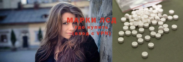 прущие грибы Березники
