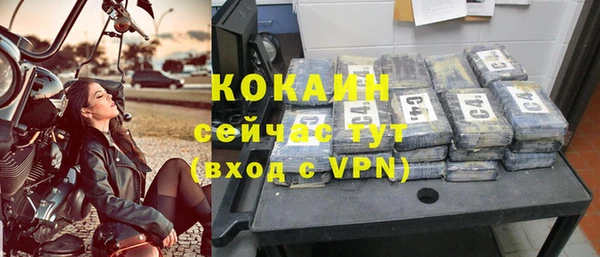 прущие грибы Березники